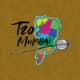 Mumbai T20 League