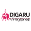 DV-W