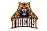 City Palace Tigers