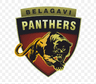 Belagavi Panthers
