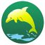 GCT
