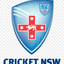 New South Wales XI