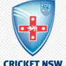 New South Wales XI