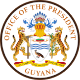 Guy Sel XI