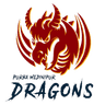 Purba Medinipur Dragons