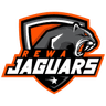 Rewa Jaguars