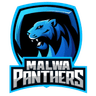 Malwa Panthers
