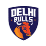 Delhi Bulls