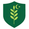 Ghani Glass